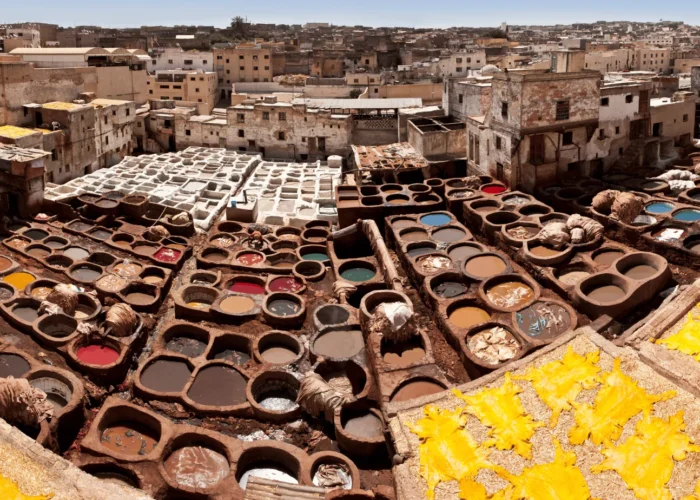 Tours from Fes