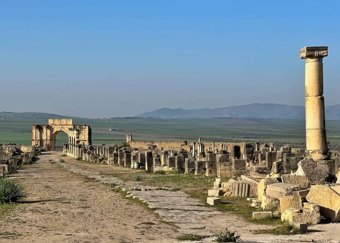 1 Day Trip from Fes to Volubilis