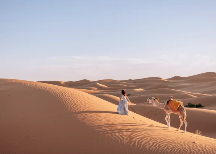 3 Day Desert tour from Marrakech to Fes