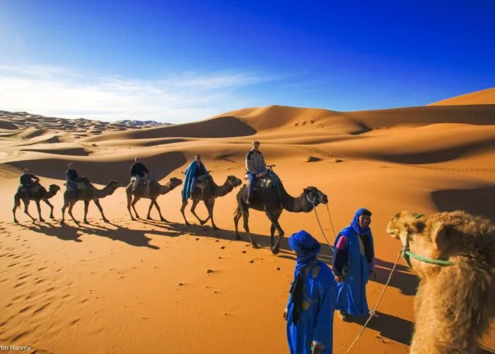 8 Day Desert Tour from Casablnaca